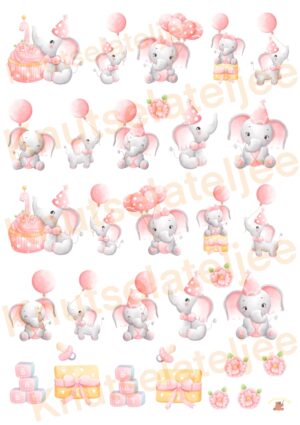 Baby roos 6