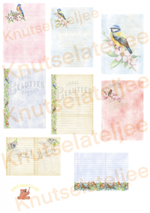 Bosvogels designpap(8st)