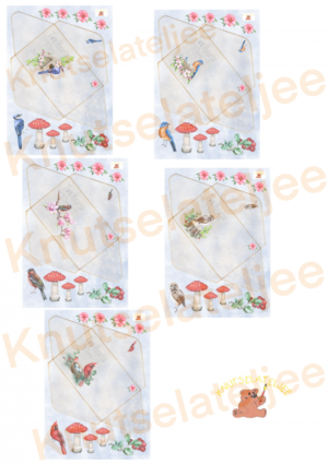 Bosvogels envelop groot 2 (5st)