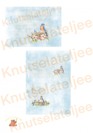 Bosvogels mega envelop 1 (2st)