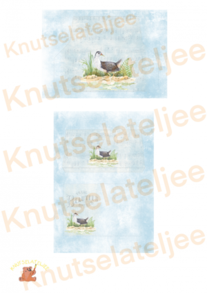 Bosvogels mega envelop 6 (2st)