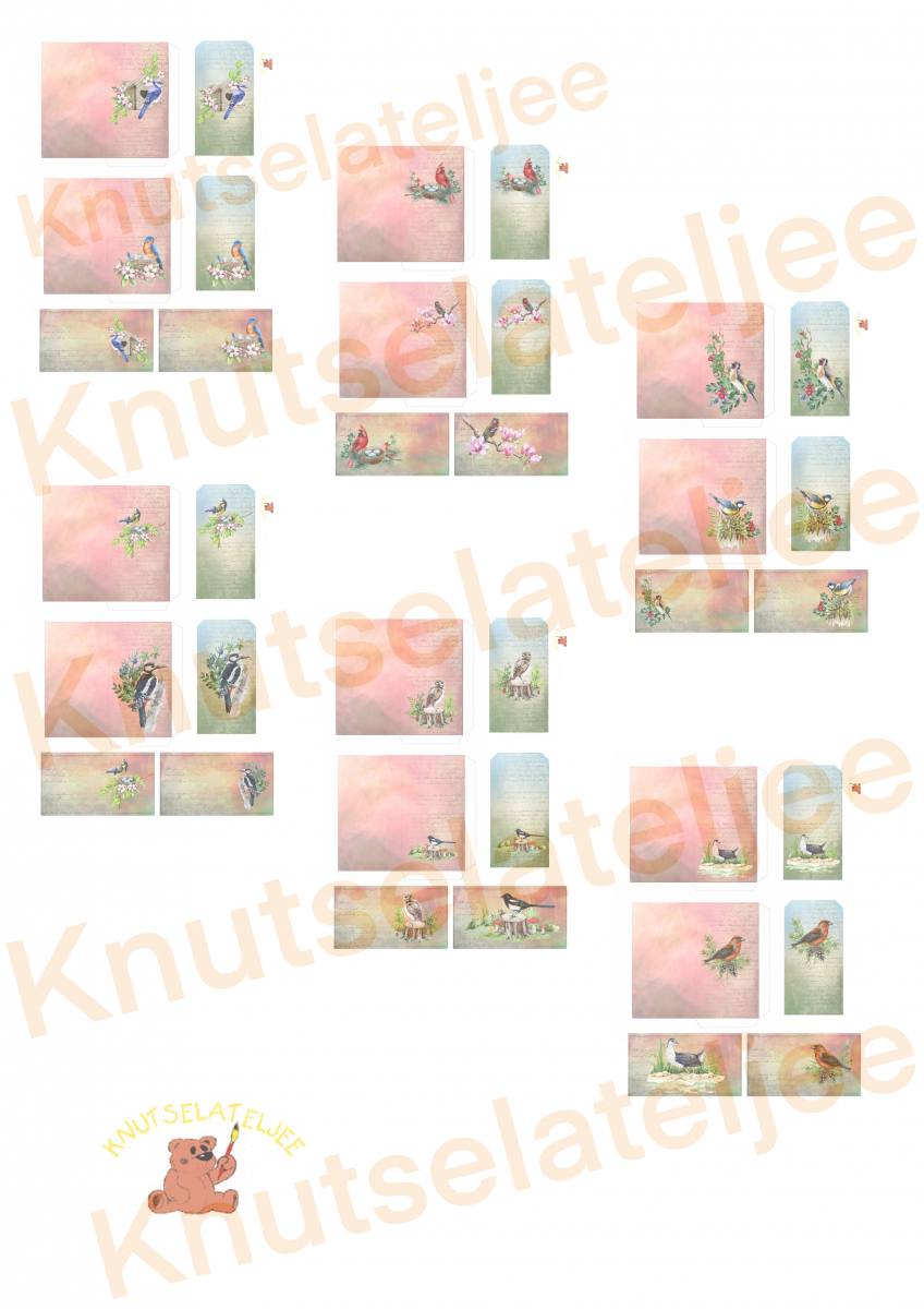 Bosvogels pocket and tags (6st)