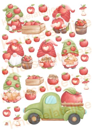 Gnomes appel 4