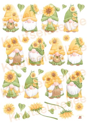 Gnomes zonnebloem 1