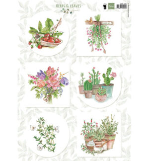 Herbs & leaves 2
