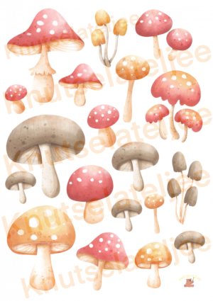 Herfstgnomes 3