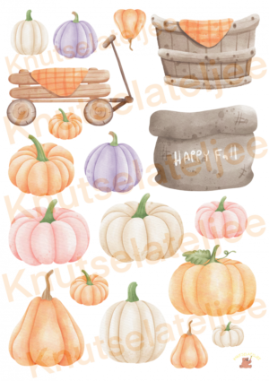 Herfstgnomes 6