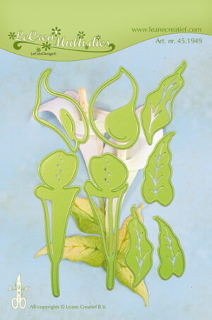 Leane multiflower 010