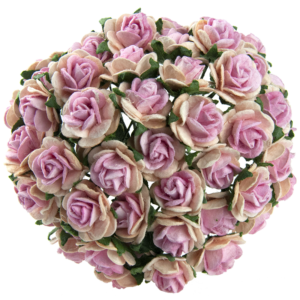 Open Roos pink with pink (15mm) 5st