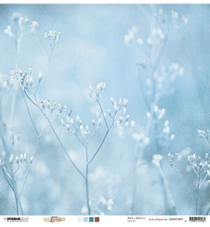 SL Scrap 200gr Celebrate new beginnings 305x305mm nr.97