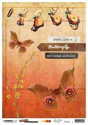 Studio Light Rice Paper Butterfly Collection nr.23