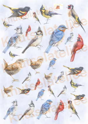 Wintervogels 1