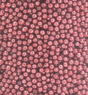 Mini Pearls (holeless), 0,8-1mm, Coral