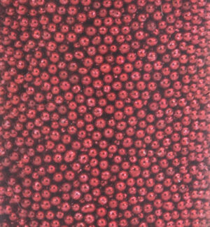 Mini Pearls (holeless), 0,8-1mm, Red