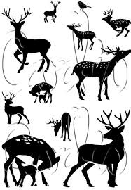 Dear Deer A7