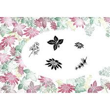 Majestix Clear Stamps Chris. Garden MACH-02